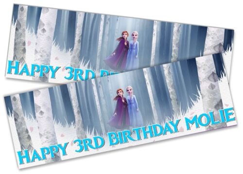 x2 Personalised Birthday Banner Frozen Children Kids Party Decoration Poster 15