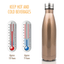 500 ml Isolation Sous Vide Flacon Thermique Sport Chilly Bouteille d/'eau chaud//froid UK YM