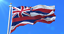 HAWAII STATE FLAG new superior quality MADE IN USA 3x5ft fade resist flag 