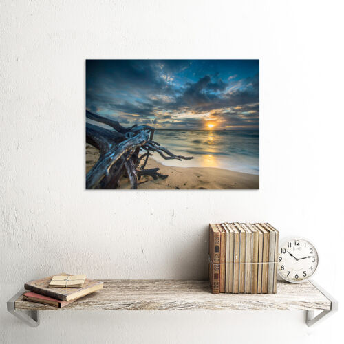 Driftwood Beach Sunset Ocean Wall Art Print