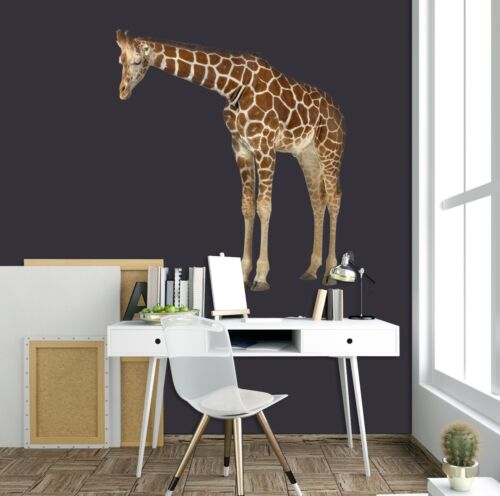 Details about  / 3D Shy Giraffe B46 Animal Wallpaper Mural Poster Wall Stickers Decal Wendy