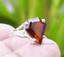 Details about / Natural Hessonite Garnet Silver Ring 925 Sterling Silver Ring For Christmas Sale