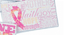 1 2018-2019 Pocket 2 Year Calendar /"Pink Ribbon ** FREE SHIPPING**