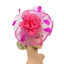 Elegant Headband Fascinator Hat Alice band Wedding,Ladies Day,Royal Ascot Race