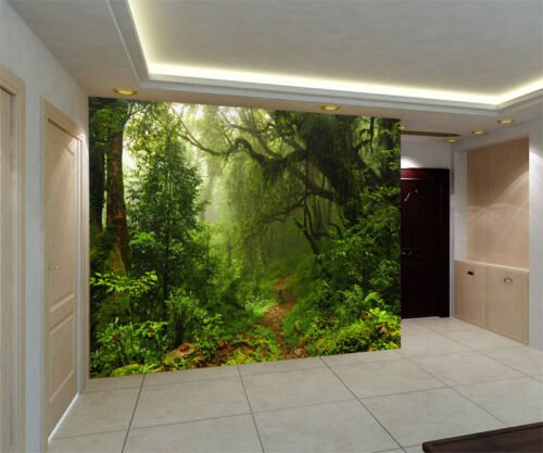 Tropical Dark Green Forest Nature Rainforest 3D Full Wall Mural Photo Wallpaper