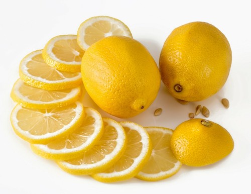 PREMIUM Schneidescheibe S2 Gemüseschneider GAM FAMA CELME Resto Italia Gastlando