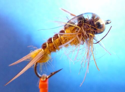 UV Epoxy Back 1/4 dozen Stone Fly Golden Stonefly Flies per 3 #6 thru 14 