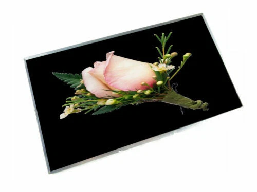 Dell Laptop Screens & LCD Panels