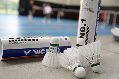 Victor CarbonSonic CS No.1 Carbon Fiber Sonic Synthetic Badminton Shuttlecocks