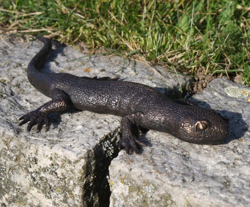 Eidechse Dekoration für Haus und Garten Bronzeskulptur Salamander