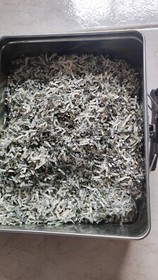 NES DUCKTALES REMASTERED 14 OF 150 GOLD TIMEWALK PRESSKIT 2013.