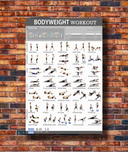 Hot Gift C431 Art Bodyweight Body Exercise Training Fitness 30 24x36in Poster