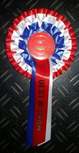 X2 3 étages rosettes Best In Show /& réserve Red White Blue Dog show Imprimé queues