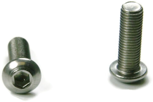 Button Head Socket Cap Screw Stainless Steel Screws UNC 6-32 x 1/4 Qty 250 