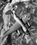 WW2 WWII Photo US Bomber Heavily Damaged Missing Wing USAAF World War Two 5379 