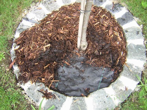 Unkrautfolie Bändchengewebe Mulchfolie Gartenfolie Bodengewebe HaGa® 100mx1,6m