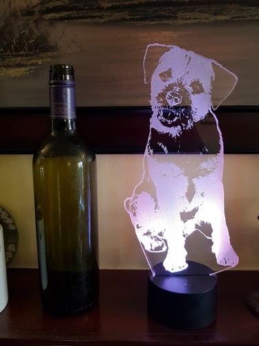 Border Terrier Acrylic LED Lamp Gift