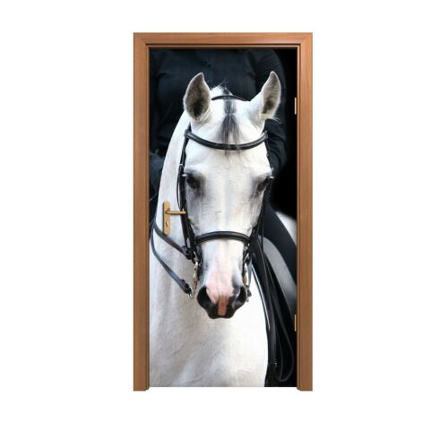 Türposter Türtapete selbstklebend Reiter auf weißem arabischen Pferd Tierporträt