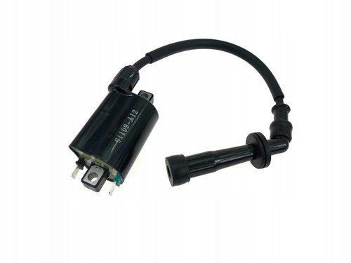 61109-A12-100 Zündspule Triton Reactor 450 Access Motor AMS 4.38 SP450