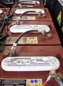 Fix Restore Repair Lead Acid Golf Cart Battery Any Brand 6 8 12 Volt 