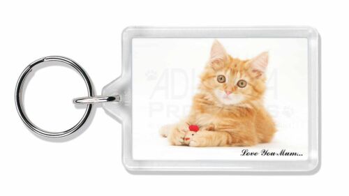 Ginger Kitten 'Love You Mum' Photo Keyring Animal Gift AC-158lymK