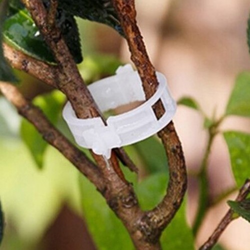 100pcs veggie garden plant support clips for trellis twine greenhouse VQ