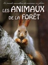 Les animaux de la forêt von Piccolia | Buch | Zustand sehr gut