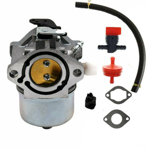 Carburetor & Kit for Briggs & Stratton 699831 694941 Lawn Tractor Mower Carb 