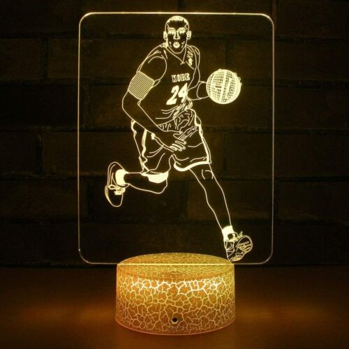 Slam Dunk Dribbling Transparent Basketball Light 7 Color Switching Remote 3D USA