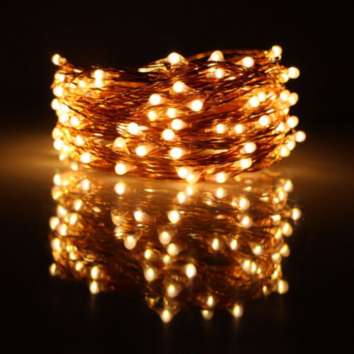USB 5M/10M/ 50/100 LED Copper Wire String light Indoor Outdoor Decor Fairy Light 