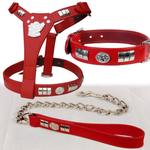 LEATHER STAFFORDSHIRE BULL TERRIER DOG HARNESS LEAD & COLLAR SET CHROME FITTING 