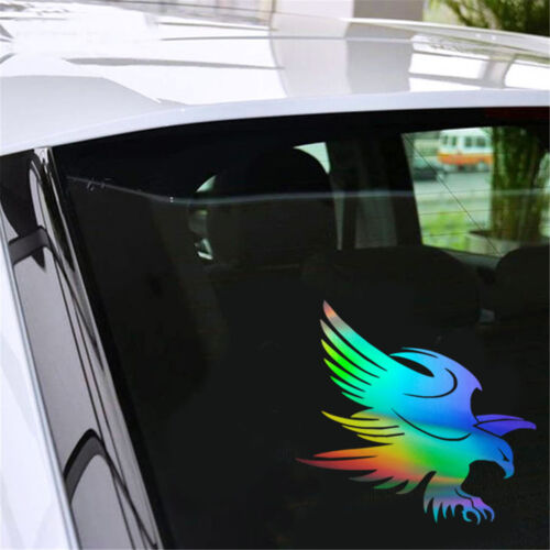 Eagle Predator Bird Animal Sticker Car Window Bumper Truck Door Wall Vinyl Decal