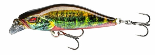 DAIWA Prorex Flat Minnow 50SS Wobbler 4,8g 5cm Tauchtiefe langsam sinkend Mini