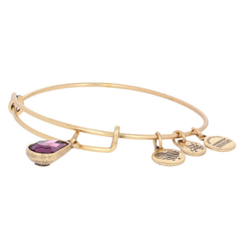 Details about   NEW Alex and Ani February Birthstone Amethyst Bracelet Gold Toned Adjustable Fit 