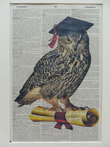 dictionary art graduation gift Owl Print No.385 