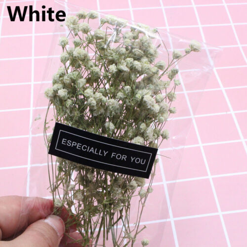 Home Decoration Gypsophila Natural Dried Bouquets Mini Real Flower Plant Stems 
