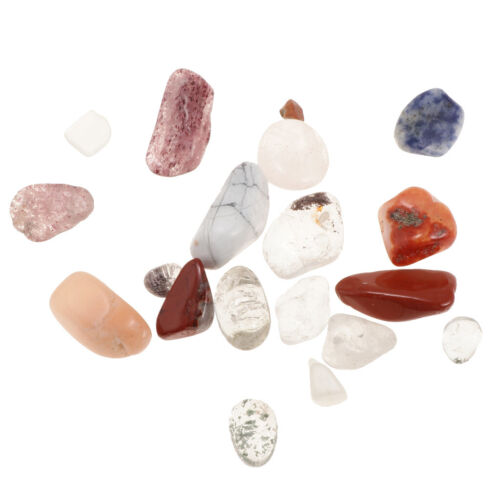 Mixed Minerals Kids Science Kit Rock and Mineral Collection in Clear Box