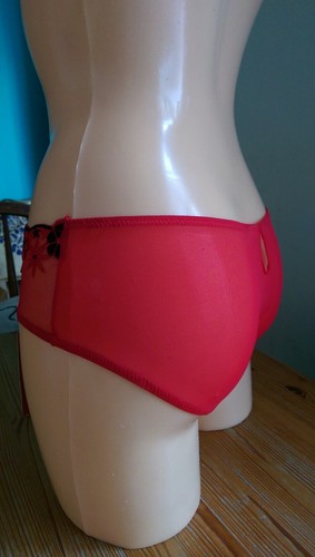 Red Hot Sheer Knickers Size S 8-10 Bnwt Red Black see through material