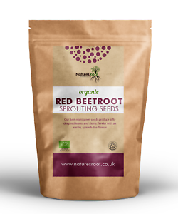 Beetroot Superfood Non GMO Microgreen Sprouts Organic Red Beet Sprouting Seeds