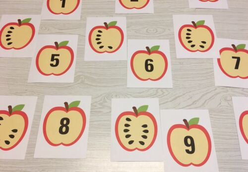 Counting 1-10 20 Laminated cards Apple Seed Number Match Card Set