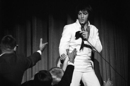 Elvis Presley White Suit Greeting Fans Live On Stage  8x10 Glossy Photo 