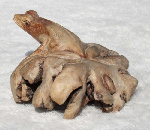 Wooden Frog 12cm Parasite Wood Hand Carved and Fair Trade 