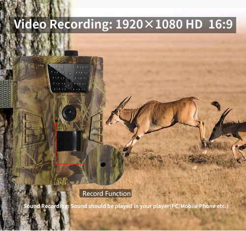 Details about / Outdoor Hunting Trail Camera 12MP 1080P IP65 Night Vision Wildlife Cam Scouting