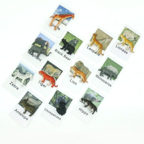 Montessori Language Materials Animal Match Cards Africa Animals Montessori Lea