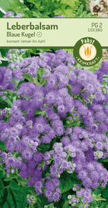 Leberbalsam Blaue Kugel 2x 103380 Saatgut Blumen Samen Qualitätsware Sämereien
