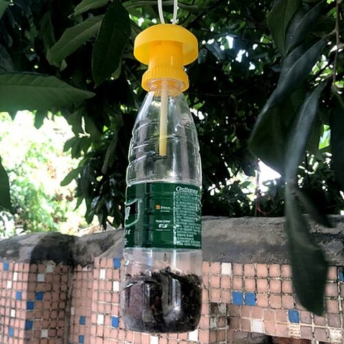 2Pcs Fruit Fly Trap Killer Plastic Trap Catcher Insect control Farm OrchardB`CA