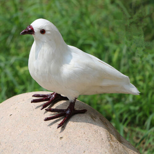 1x Fake Artificial Feathered Pigeon Decoy Realistic Seagull Garden Decor
