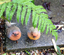 2pc Resin Robin Bird Set Garden Ornaments Decoration Patio Door Pond Sculpture