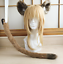 Details about  / Twisted Wonderland Ruggie Bucchi Hyena Ear Tail Kemonomimi Cosplay Prop Handwork