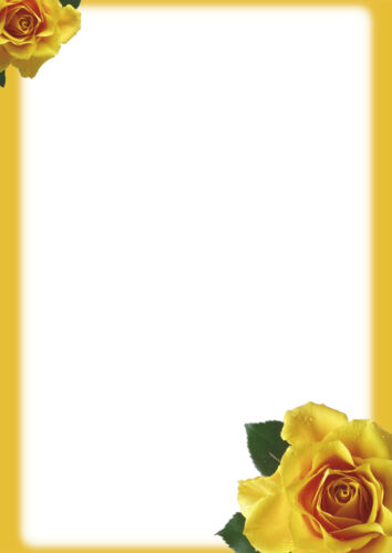 Motivpapier Briefpapier 100 Blatt DIN A4 gelbe Rosen Einladung Geburtstag Blumen